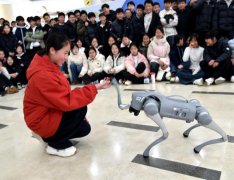 机械狗顺次完成了智能行走、妨碍、、科技跳舞